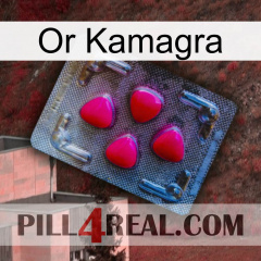 Kamagra Gold 13